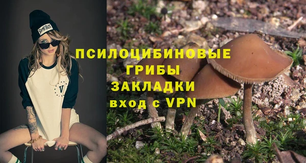 МДПВ Семилуки