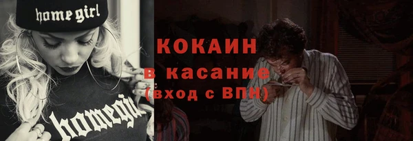 сатива Новозыбков