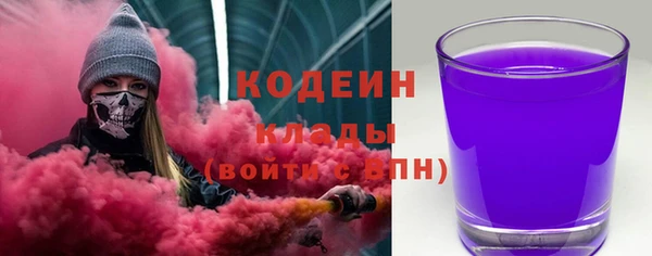 сатива Новозыбков