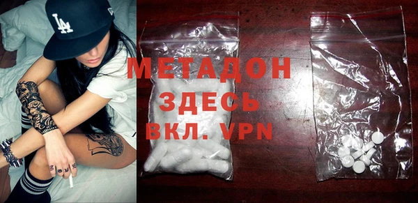 сатива Новозыбков