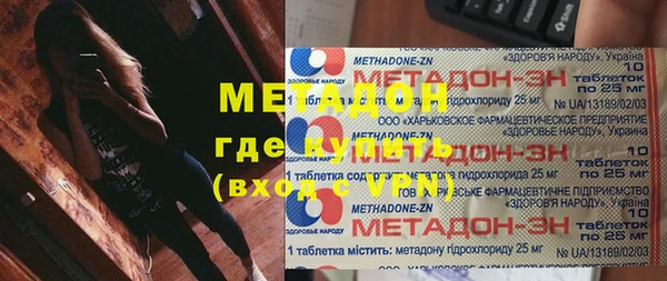 сатива Новозыбков