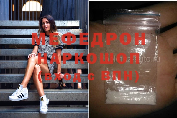 сатива Новозыбков