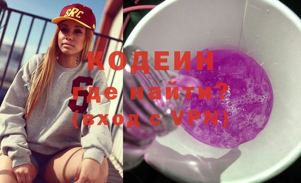 сатива Новозыбков