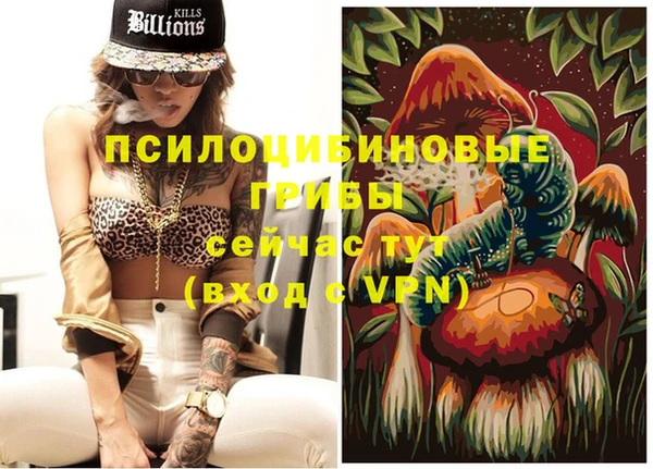 меф Новодвинск