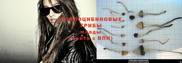 меф Новодвинск