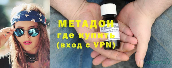 сатива Новозыбков