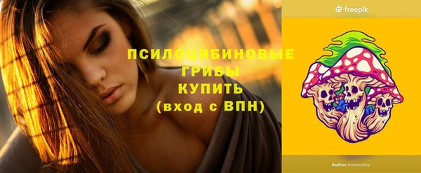 сатива Новозыбков